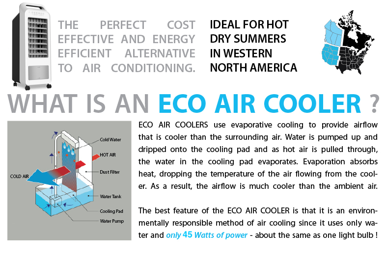 Ice Air Cooler DF319