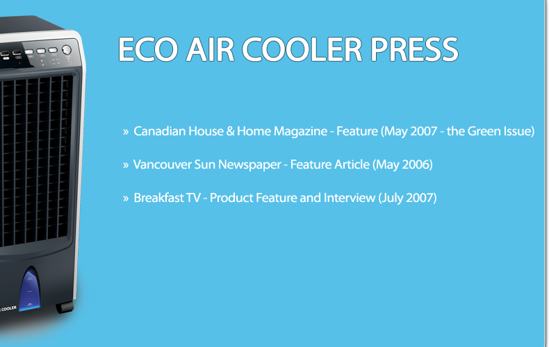 Ice Air Cooler DF319