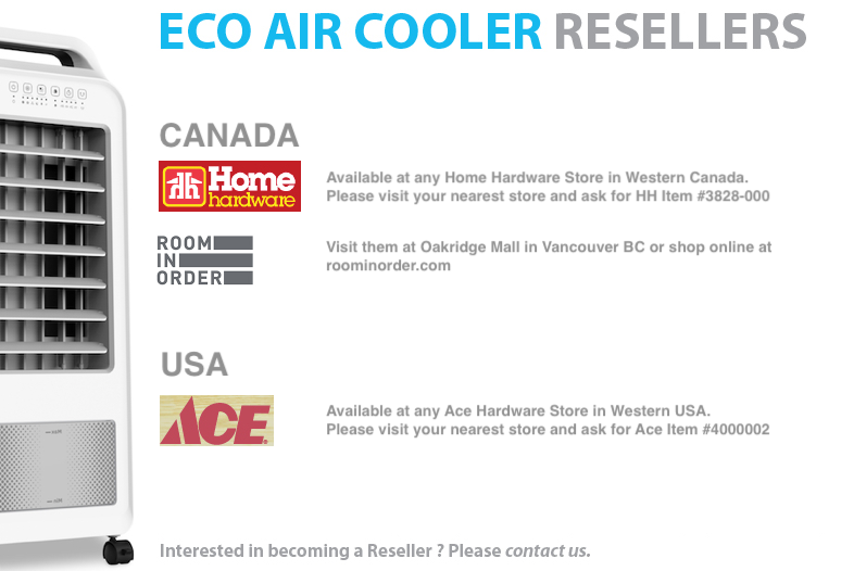 Ice Air Cooler DF319